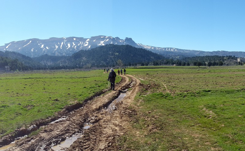 lmt-section-2-from-el-qammouaa-to-el-qemmamine-2023-09-03-64f4689000053.jpeg